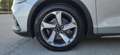 Ford Focus Focus Active SW Active Argento - thumbnail 13