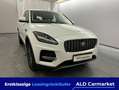 Jaguar E-Pace D165 Geschlossen, 5-türig, 6-Gang Weiß - thumbnail 4