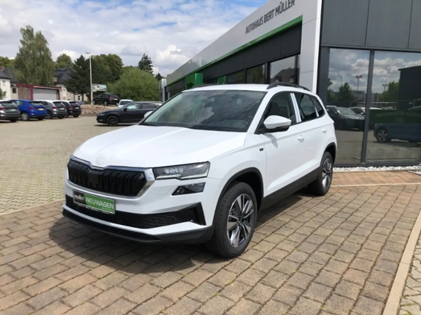 Skoda Karoq Tour Matrix SmartLink DAB Kamera Weiß - 2