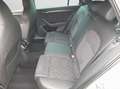 Skoda Superb Combi Sportline 1.5 TSI DSG AHK Navi 360° Grau - thumbnail 13
