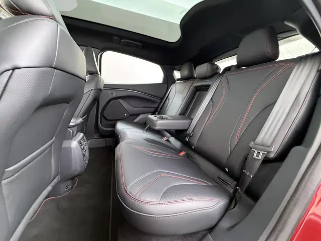 Ford Mustang Mach-E view 14