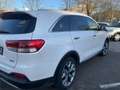 Kia Sorento Platinum Edition 4WD|Pano|360°|ACC|AHK| Weiß - thumbnail 7