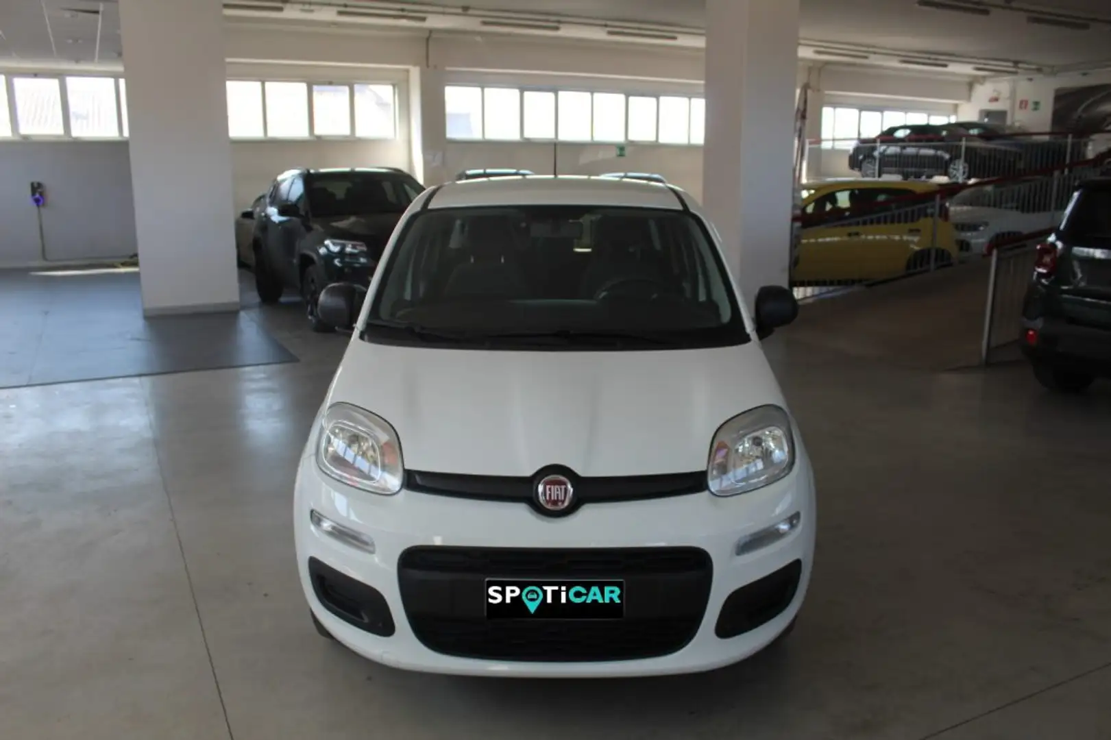 Fiat Panda 1.2 Easy Bianco - 2