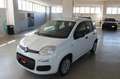Fiat Panda 1.2 Easy Bianco - thumbnail 1