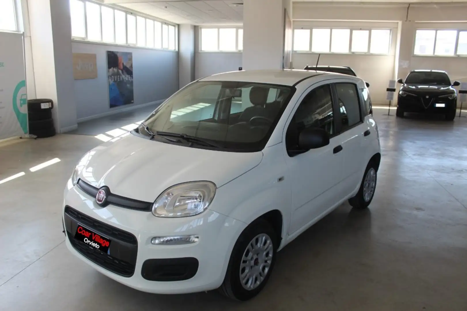 Fiat Panda 1.2 Easy Bianco - 1