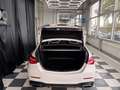 Mercedes-Benz C 220 C 220 d (1 BESTIZ) AMG LINE Weiß - thumbnail 12