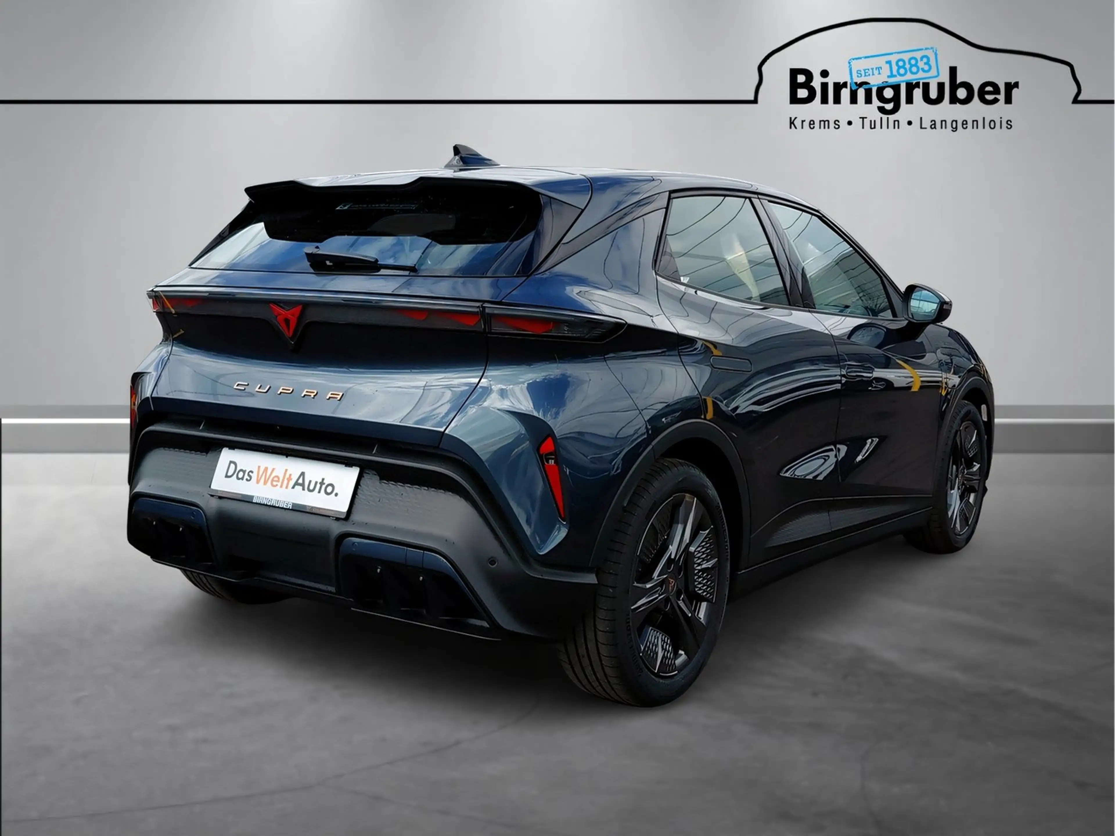 CUPRA Raval ENDURANCE 52/55 155kW/210 PS — photo 4