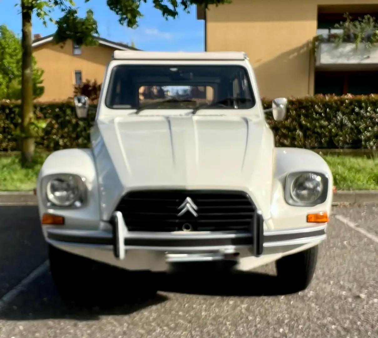 Citroen Dyane - 1
