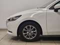 Mazda 2 1.5 90CV e-Skyactiv-G M-Hybrid Evolve Blanco - thumbnail 3