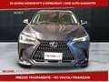 Lexus NX 350h 350h 2.5 Premium 4wd e-cvt Grigio - thumbnail 2