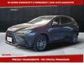 Lexus NX 350h 350h 2.5 Premium 4wd e-cvt Grigio - thumbnail 1