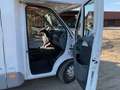 Caravans-Wohnm Knaus Sun Traveller 555 L Weiß - thumbnail 6