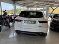 Jaguar E-Pace E-Pace 2017 2.0d i4 awd 150cv auto MOTORE NUOVO Weiß - thumbnail 5