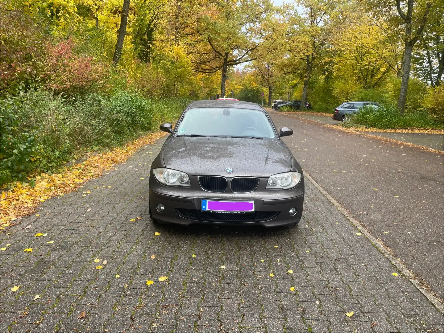 BMW 120 120d Braun - 1