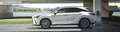 Lexus RX 500h 500h Hybrid Turbo F-Sport Silber - thumbnail 6