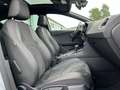 SEAT Leon 2.0 TDI DSG FR-Line Black Matt Edition 125€ m. 2 Grau - thumbnail 13