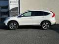 Honda CR-V 2.0 AWD Executive | Trekhaak | Panoramadak | Cruis Blanc - thumbnail 2