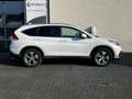 Honda CR-V 2.0 AWD Executive | Trekhaak | Panoramadak | Cruis Blanc - thumbnail 5