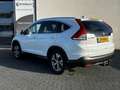 Honda CR-V 2.0 AWD Executive | Trekhaak | Panoramadak | Cruis Blanc - thumbnail 3