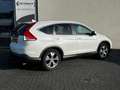 Honda CR-V 2.0 AWD Executive | Trekhaak | Panoramadak | Cruis Blanc - thumbnail 4