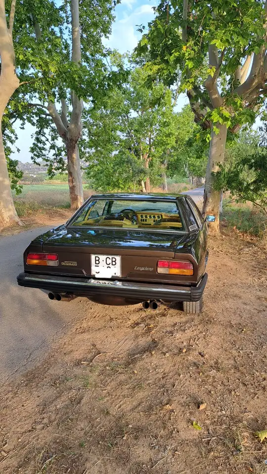 De Tomaso Longchamp, foto 4