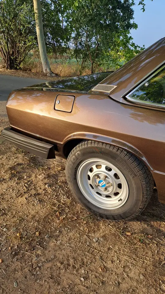 De Tomaso Longchamp, foto 6