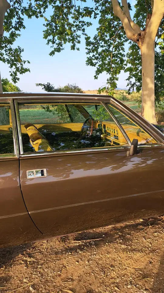De Tomaso Longchamp, foto 7
