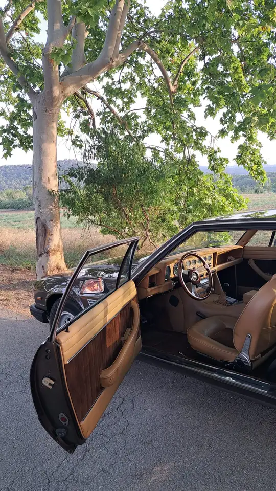 De Tomaso Longchamp, foto 12
