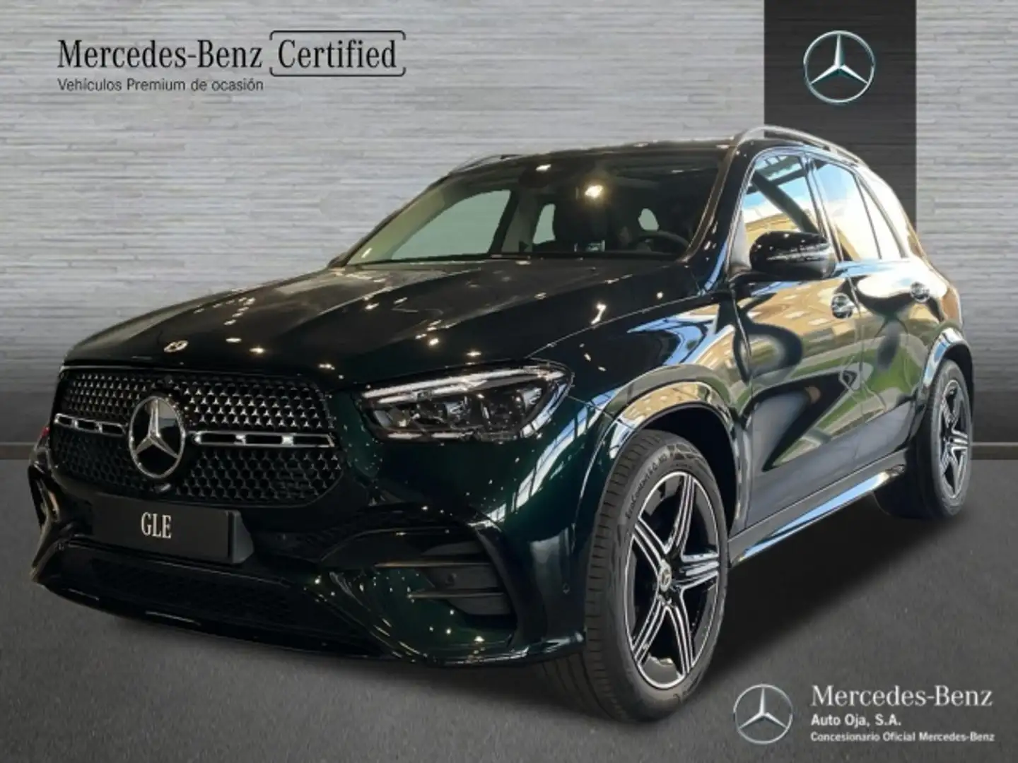 Mercedes-Benz GLE 300 300d 4Matic Aut. Verde - 1