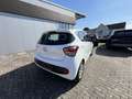 Hyundai i10 1.0 Trend +GANZJAHRESREIFEN Blanco - thumbnail 4