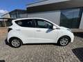 Hyundai i10 1.0 Trend +GANZJAHRESREIFEN Blanco - thumbnail 3