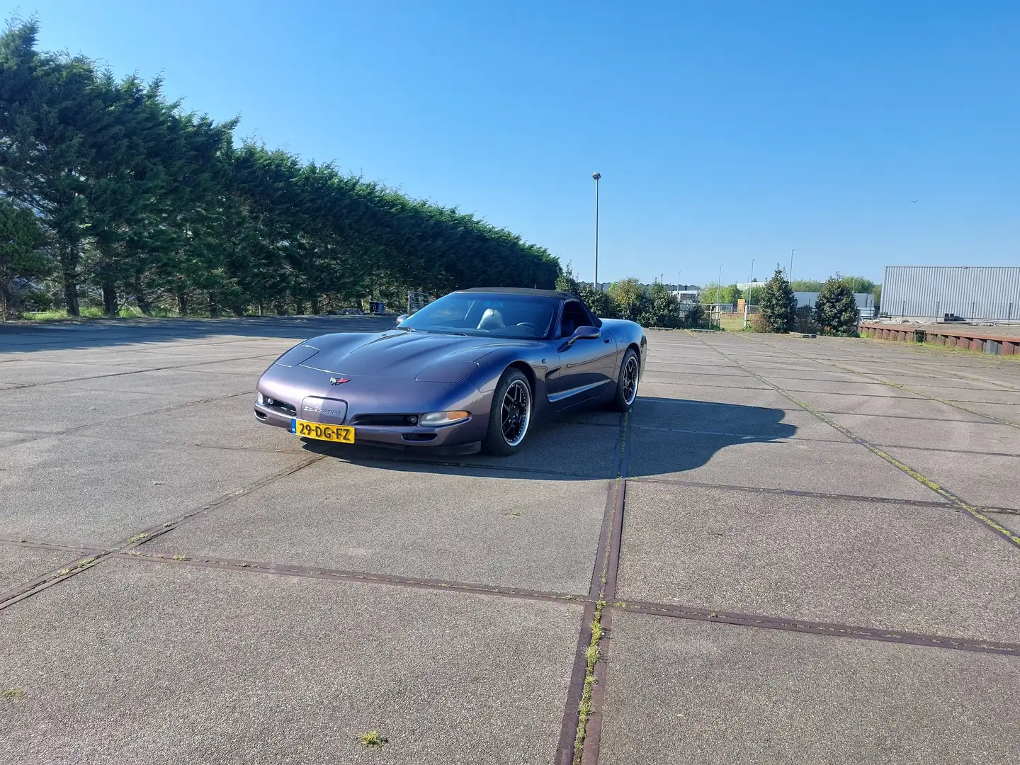 Chevrolet Corvette 5.7 Convertible ljubičasta - 2