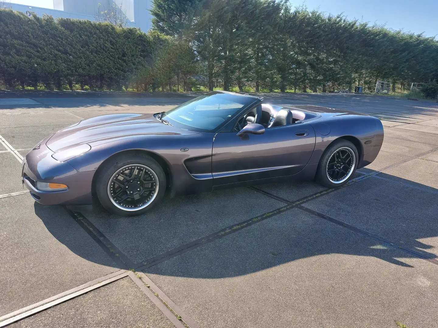 Chevrolet Corvette 5.7 Convertible ljubičasta - 1