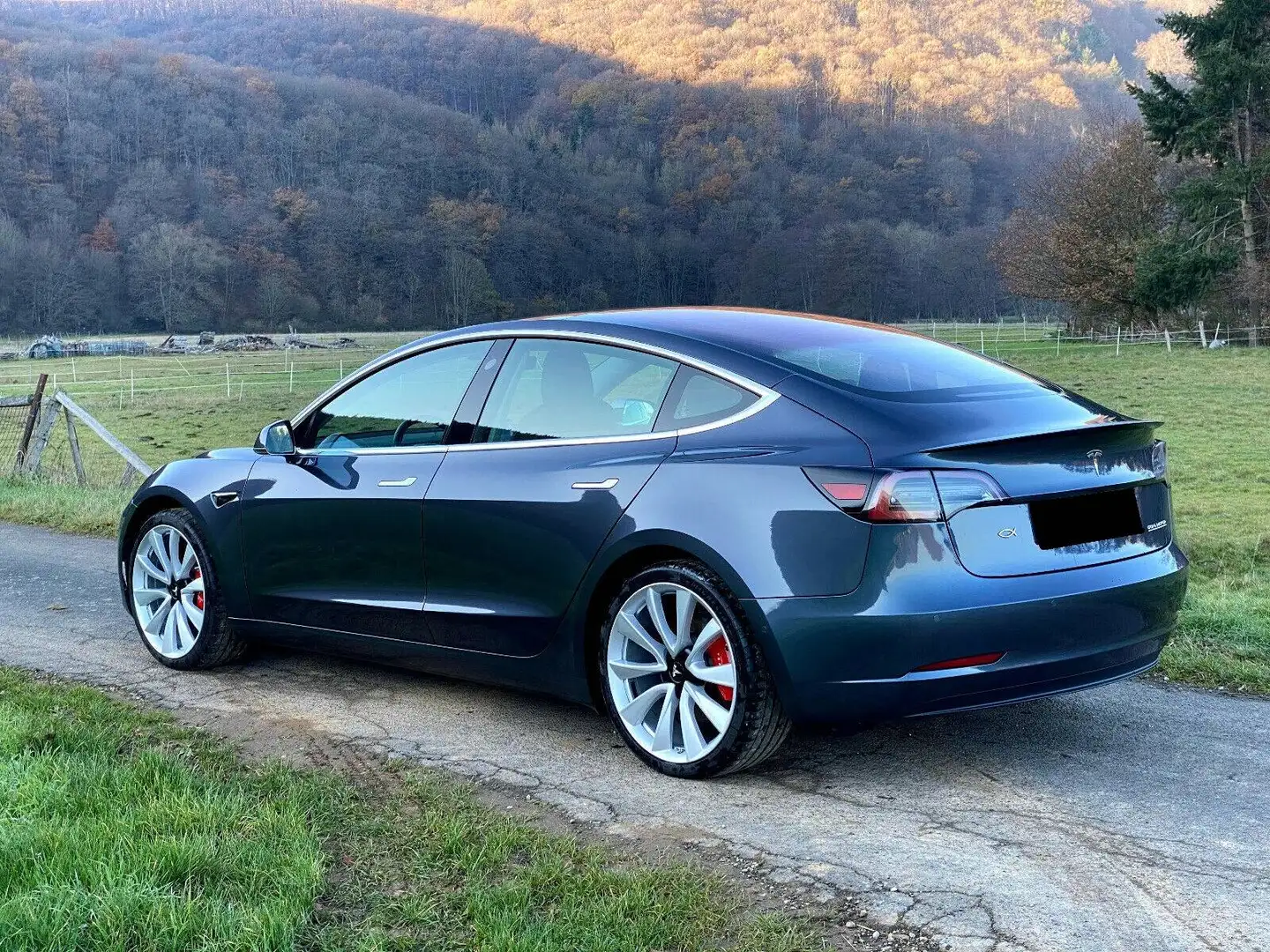 Tesla Model 3 Model 3 Long-Range Dual Motor Performance AWD Performance Negro - 2