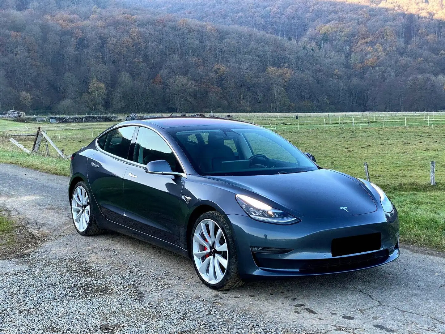Tesla Model 3 Model 3 Long-Range Dual Motor Performance AWD Performance Negro - 1