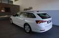 Skoda Octavia Combi 1,0 TSI Ambition DAB Blanc - thumbnail 3
