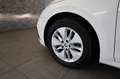 Skoda Octavia Combi 1,0 TSI Ambition DAB Blanc - thumbnail 21