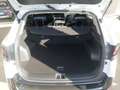 Kia Sportage 1.6 T-GDi MHEV 110kW(150CV) Tech 4x2 DCT Wit - thumbnail 7