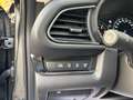 Mazda CX-30 e-Skyactive G140 Homura Aut. AUTO STAHL WIEN 21... Grau - thumbnail 16