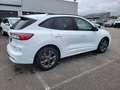 Ford Kuga 2.5 Duratec 190ch FHEV E85 ST-Line BVA Wit - thumbnail 4