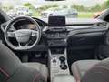 Ford Kuga 2.5 Duratec 190ch FHEV E85 ST-Line BVA Wit - thumbnail 9