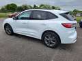 Ford Kuga 2.5 Duratec 190ch FHEV E85 ST-Line BVA Wit - thumbnail 3