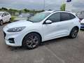 Ford Kuga 2.5 Duratec 190ch FHEV E85 ST-Line BVA Wit - thumbnail 2