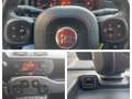Fiat Panda Panda Cross 1.0i MHEV Red * Garantie 12 Mois * Gris - thumbnail 15