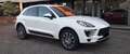 Porsche Macan Macan 3.0d S  pdk  DISPONIBILE Bianco - thumbnail 1