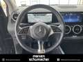 Mercedes-Benz B 250 B 250 e Progressive Kamera+LED+Wide+Lenkradh. Navi Zwart - thumbnail 10