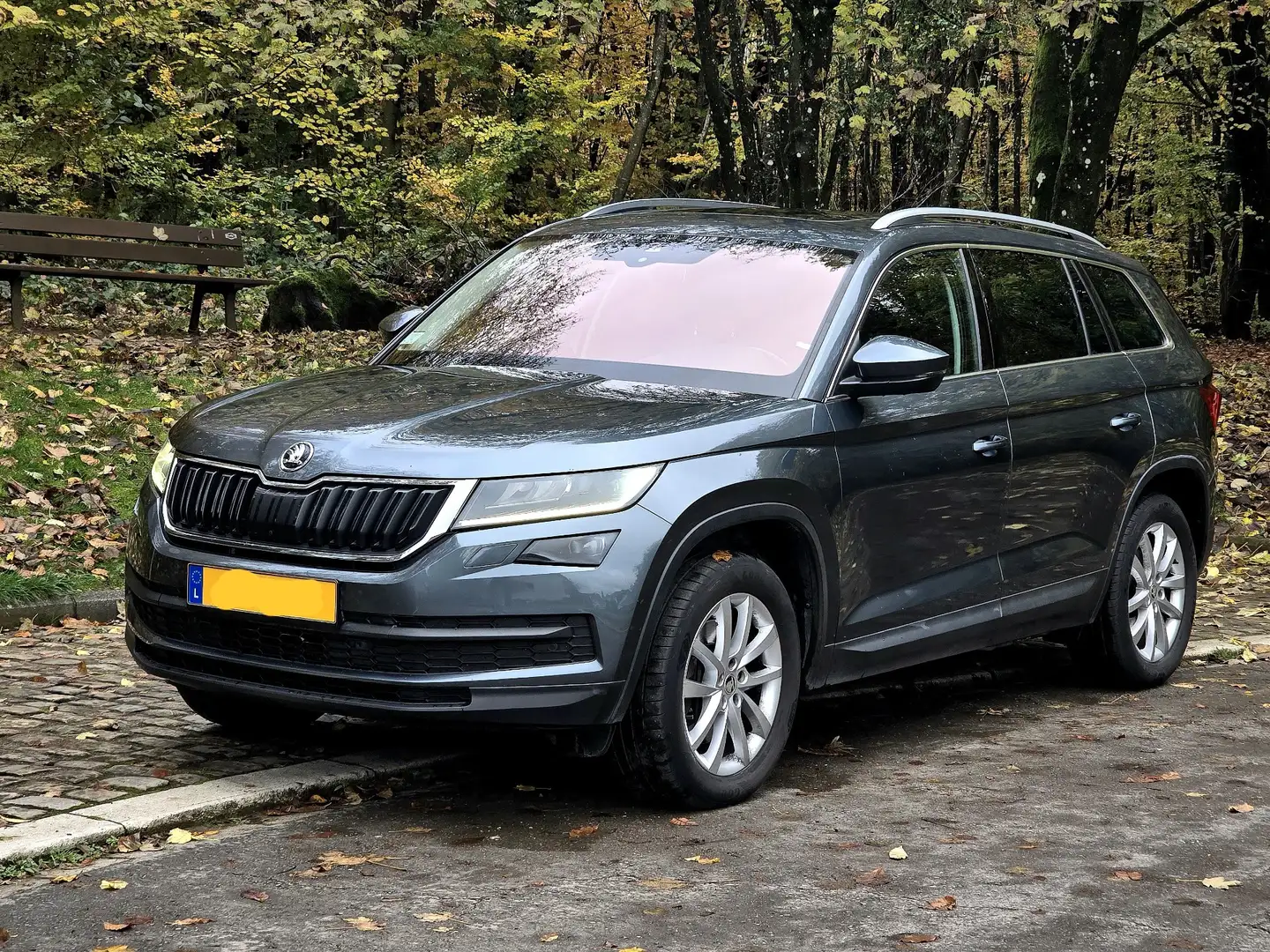 Skoda Kodiaq 2.0 TSI 4x4 DSG style - 2