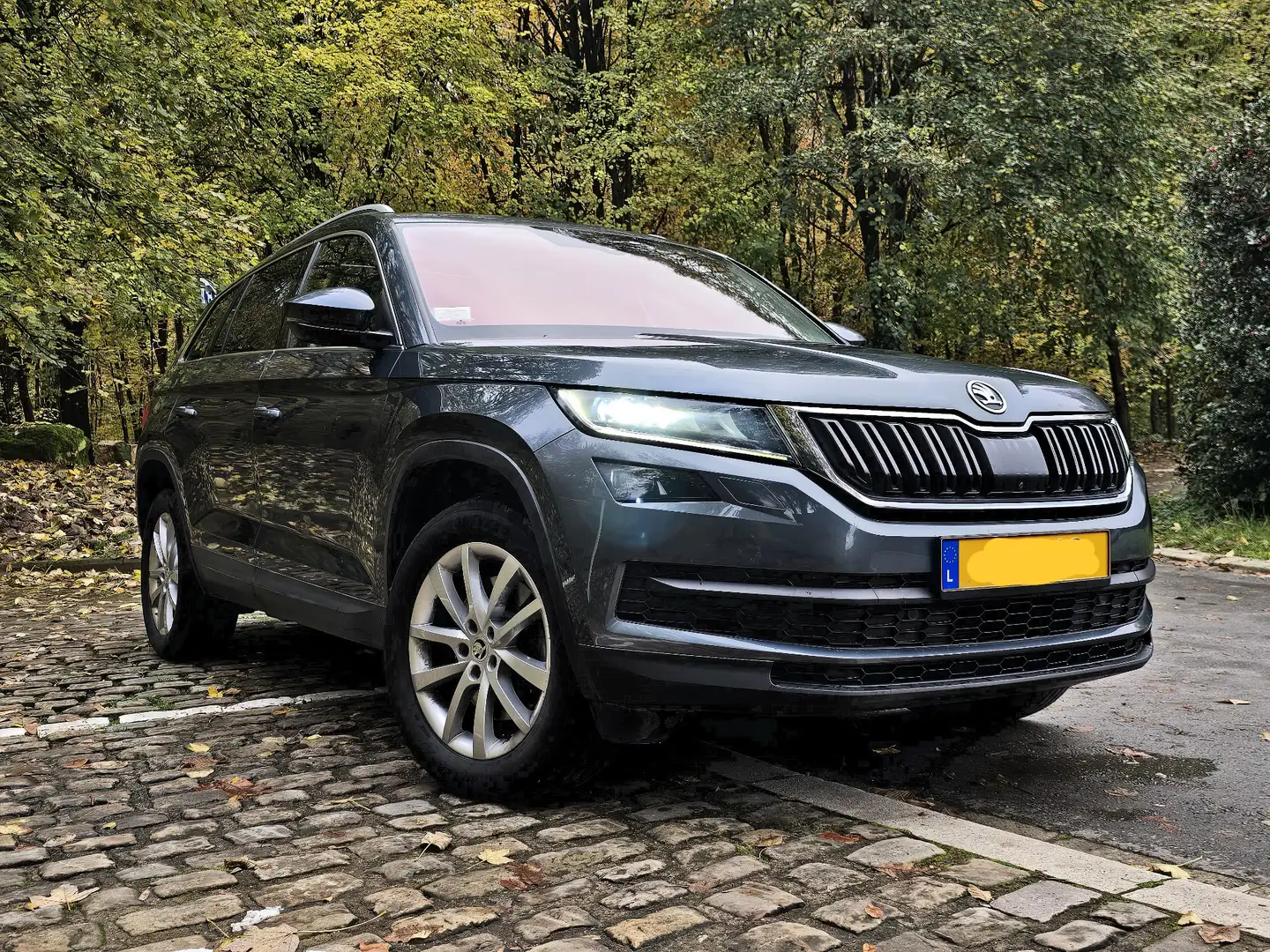 Skoda Kodiaq 2.0 TSI 4x4 DSG style - 1