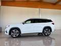 Skoda Kodiaq 2.0 TSI 195 kW 4x4 RS Weiß - thumbnail 6
