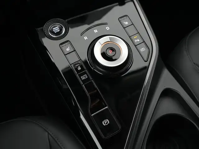 Kia Niro view 13